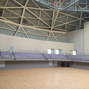 招远市体育馆室内外不锈钢安全护栏
